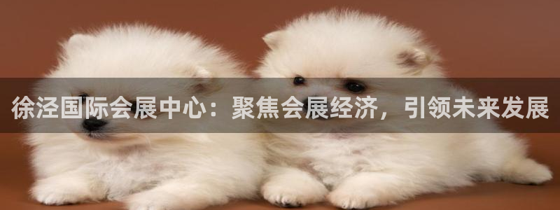 手机怎样下载果博：徐泾国际会展中心：聚焦会展经济，引领未来发展