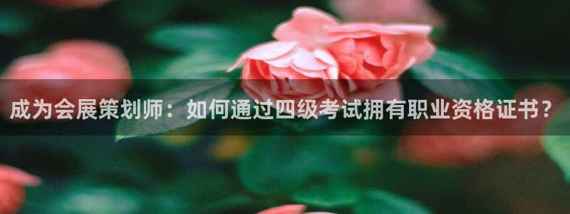 果博代理网：成为会展策划师：如何通过四级考试拥有职业资格证书？