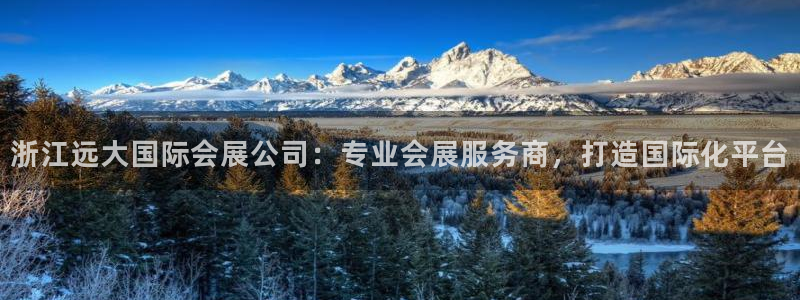 果博手机下载网址：浙江远大国际会展公司：专业会展服务商，打造国际化平台