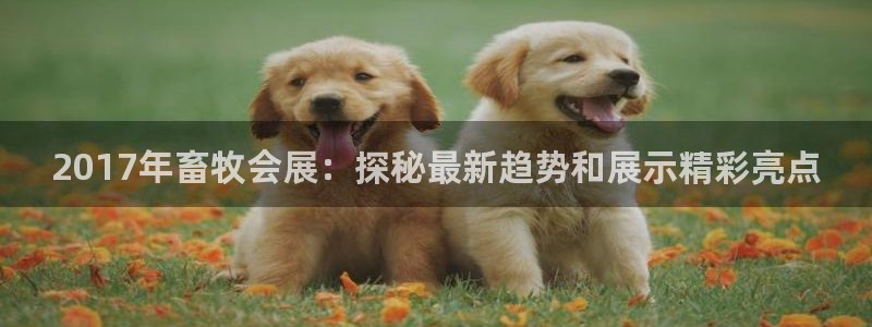 果博官网客服：2017年畜牧会展：探秘最新趋势和展示精彩亮点