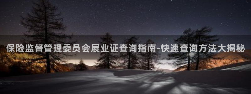 果博平台客服：保险监督管理委员会展业证查询指南-快速查询方法大揭秘