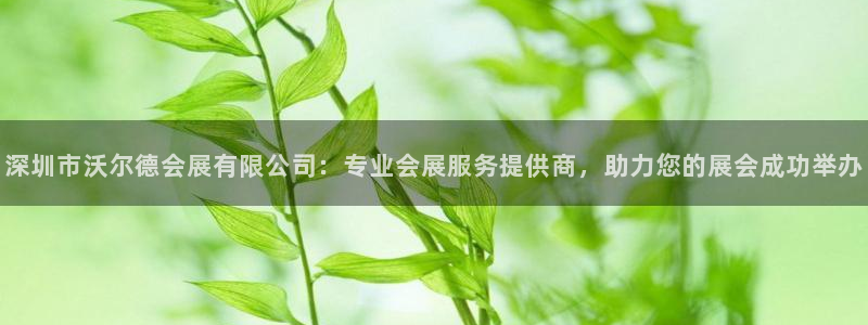 果博平台开户电话：深圳市沃尔德会展有限公司：专业会展服务提供商，助力您的展会成功举办