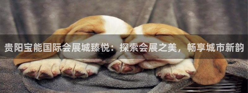 果博公司在线客服：贵阳宝能国际会展城臻悦：探索会展之美，畅享城市新韵