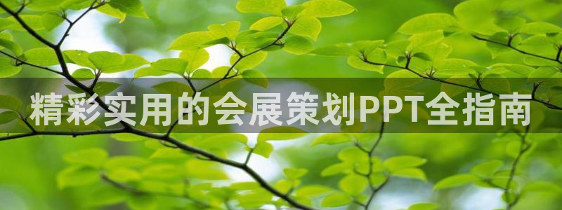 果博官网客服电话号码：精彩实用的会展策划PPT全指南