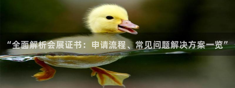 果博公司客服电话多少：“全面解析会展证书：申请流程、常见问题解决方案一览”