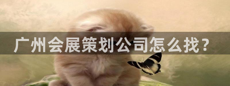 果博注册客服电话号码查询：广州会展策划公司怎么找？