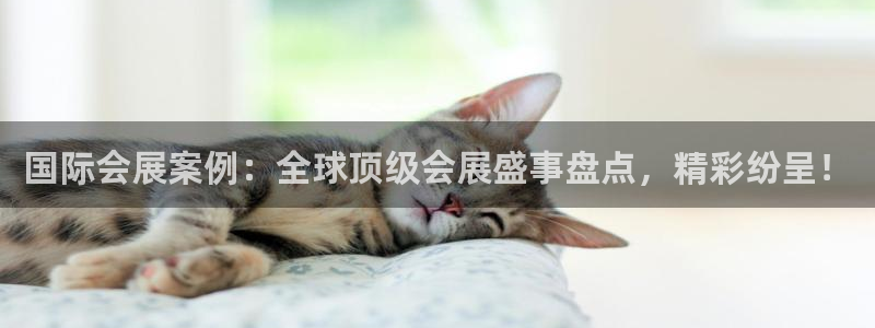 国际会展案例：全球顶级会展盛事盘点，精彩纷呈！