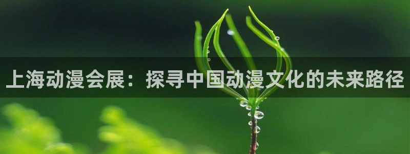 果博公司客服电话号码：上海动漫会展：探寻中国动漫文化的未来路径