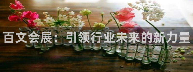 果博官方热线：百文会展：引领行业未来的新力量
