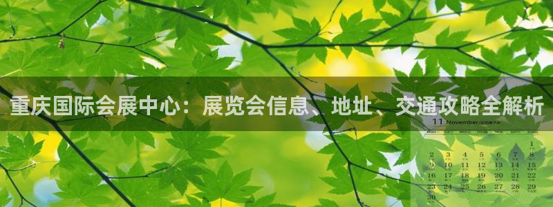 手机怎样下载果博：重庆国际会展中心：展览会信息、地址、交通攻略全解析
