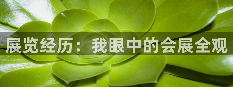 果博公司网站：展览经历：我眼中的会展全观