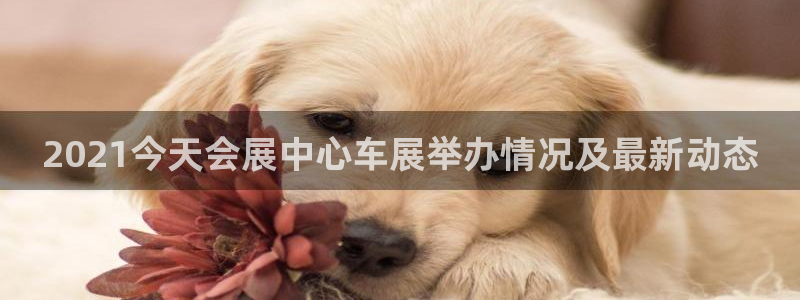 果博公司联系电话：2021今天会展中心车展举办情况及最新动态