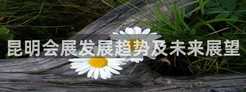 果博gbe168：昆明会展发展趋势及未来展望