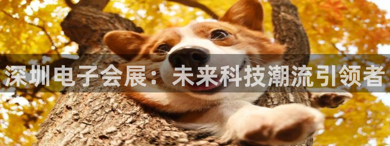 果博客服电话：深圳电子会展：未来科技潮流引领者