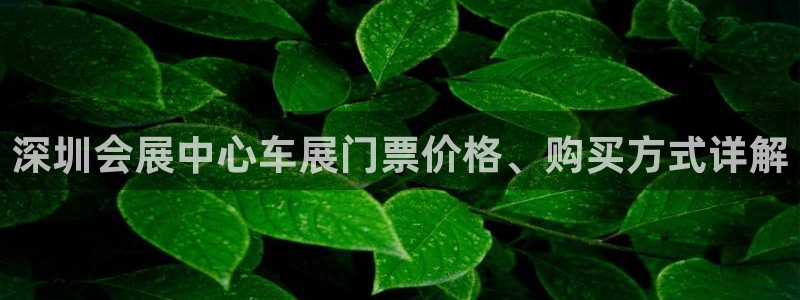 果博真人：深圳会展中心车展门票价格、购买方式详解
