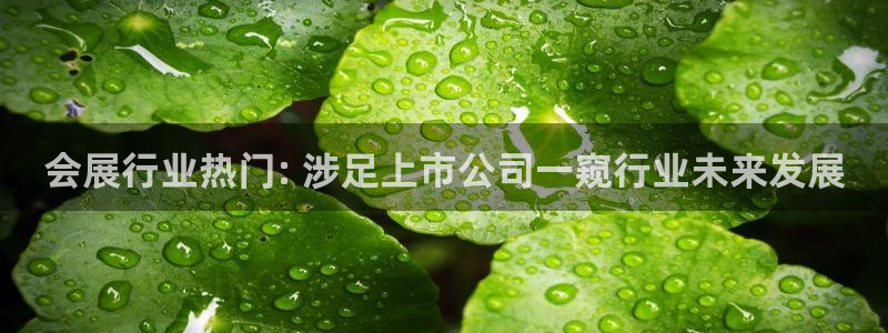 果博平台真实吗：会展行业热门: 涉足上市