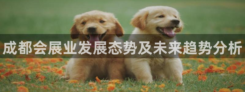 果博代理怎么注册