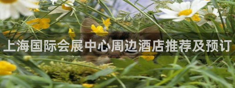 果博注册