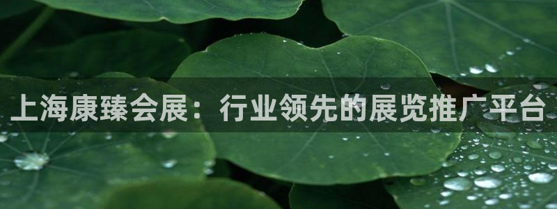 果博真人