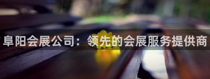 果博环保公司