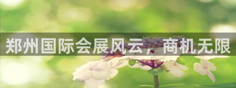 果博网站二维码
