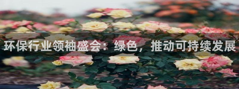 果博官网客服电话号码是多少