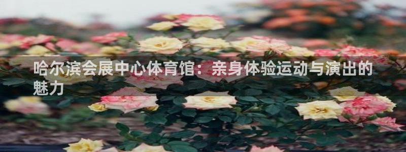 果博公司会员注册