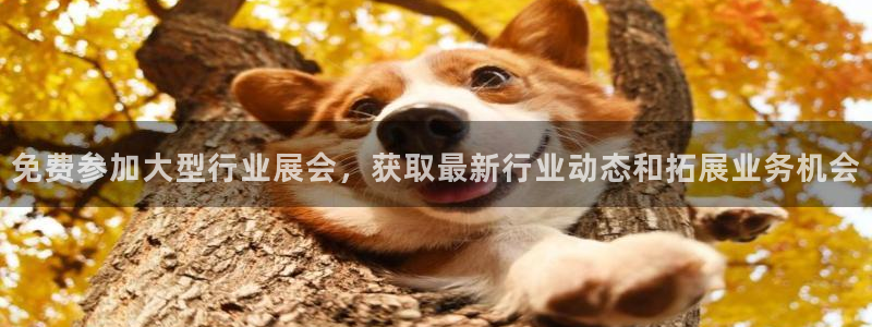 果博官方热线