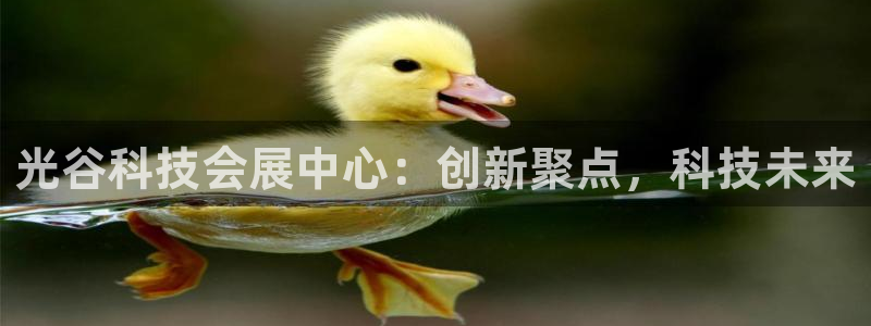 果博总台电话