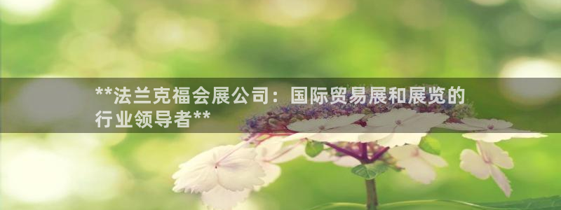 果博集团