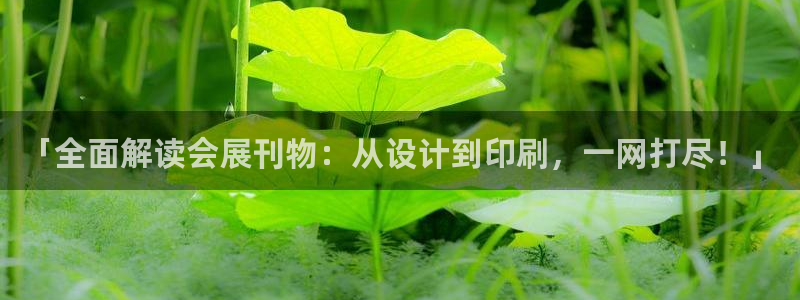 果博平台真实吗知乎推荐