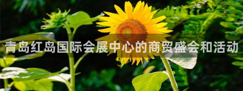 果博官网电话