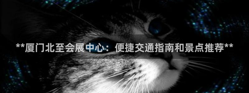 果博代理网