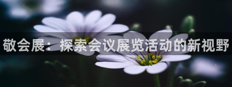 果博公司客服微信