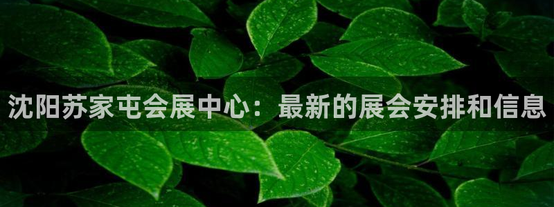 果博是怎么登录的：沈阳苏家屯会展中心：最