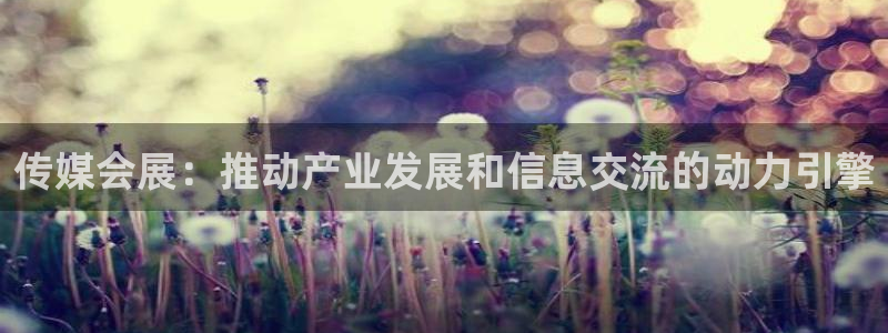 苹果手机能下载果博吗：传媒会展：推动产业