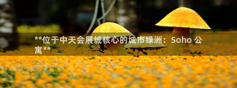 果博平台真实吗安全吗可信吗：**位于中天