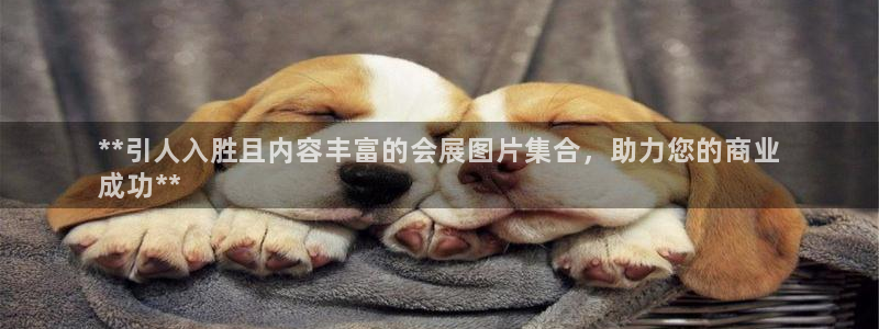 果博账号注册：**引人入胜且内容丰富的会展图片集合，助力您的商业
成功**