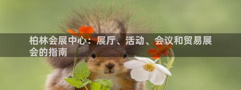 果博公司注册：柏林会展中心：展厅、活动、会议和贸易展
会的指南