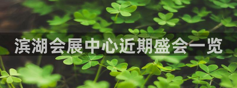 果博服务电话：滨湖会展中心近期盛会一览