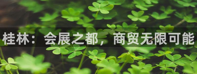 果博注册会员：桂林：会展之都，商贸无限可