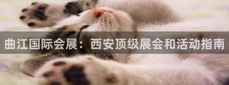 果博代理怎么注册：曲江国际会展：西安顶级