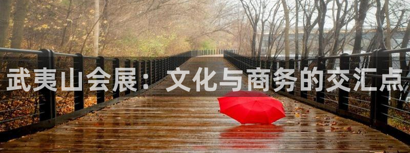 苹果电脑怎么下载博弈大师等软件：武夷山会