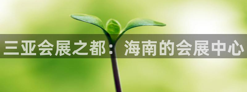 苹果电脑怎么下载博弈大师等软件：三亚会展之都：海南的会展中心
