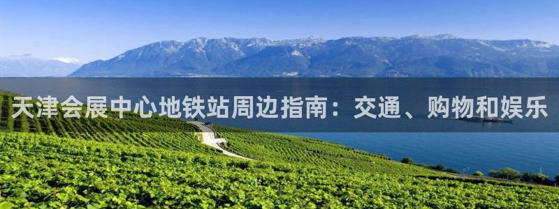 果博平台怎么下载?：天津会展中心地铁站周边指南：交通、购物和娱乐