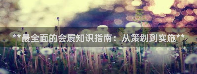 下载果博博东方：**最全面的会展知识指南：从策划到实施**