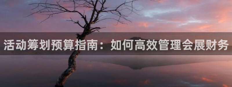 果博客服微信是多少：活动筹划预算指南：如何高效管理会展财务