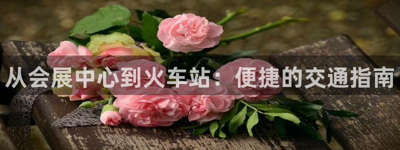 果博客服电话：从会展中心到火车站：便捷的交通指南