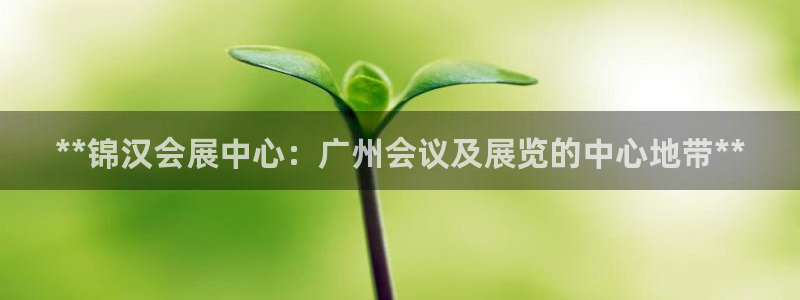 果博平台开户电话是多少：**锦汉会展中心：广州会议及展览的中心地带**