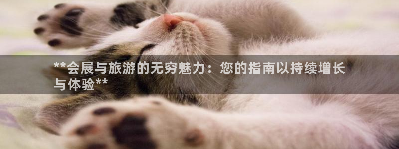 果博公司直属会员开户：**会展与旅游的无穷魅力：您的指南以持续增长
与体验**